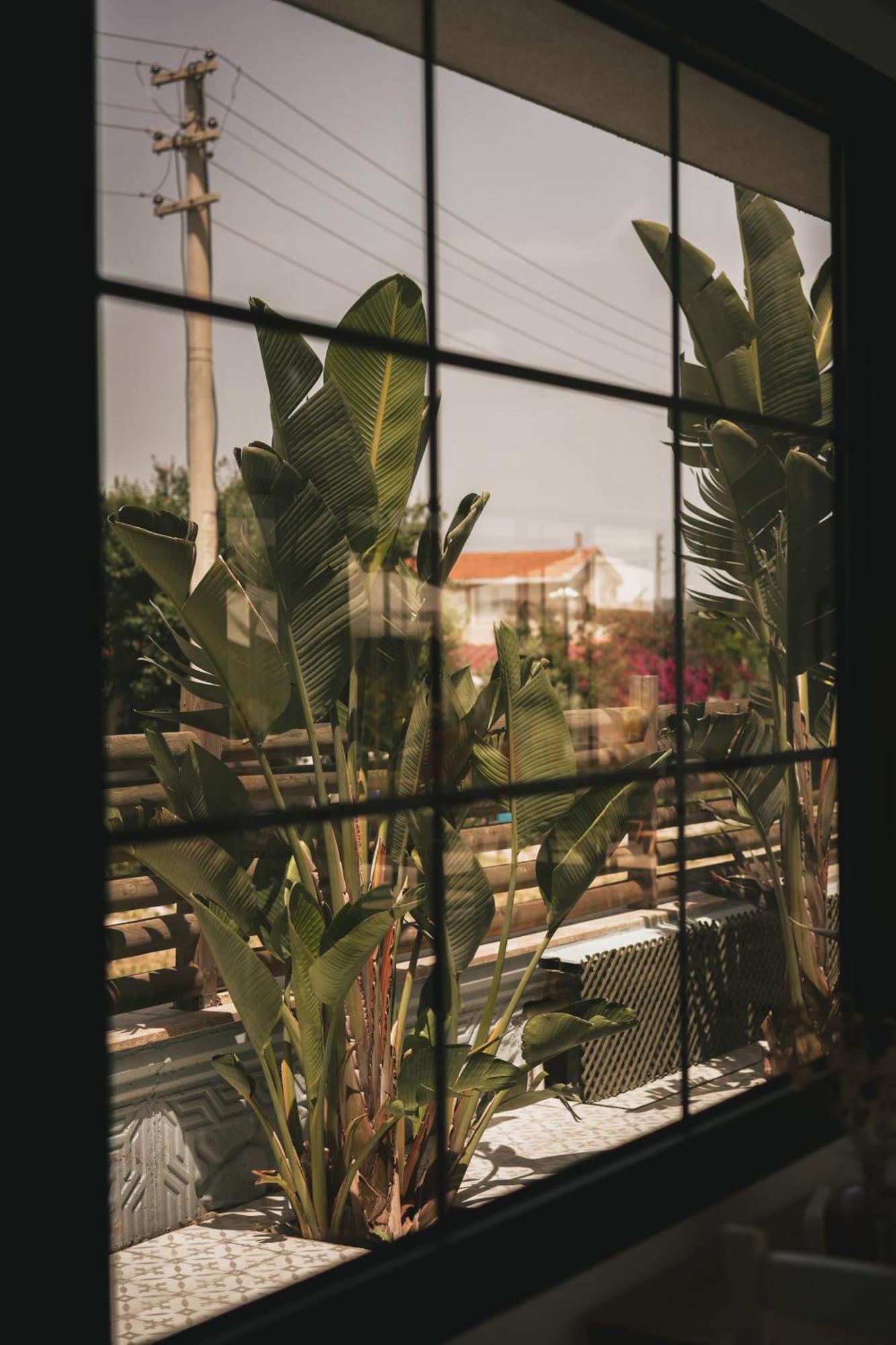 La Vida Otel อูร์ลา ภายนอก รูปภาพ